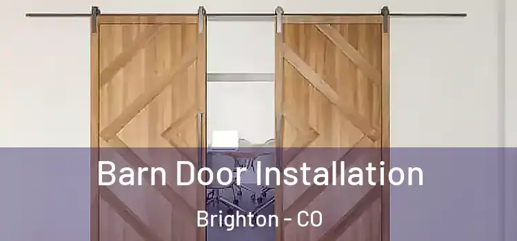  Barn Door Installation Brighton - CO