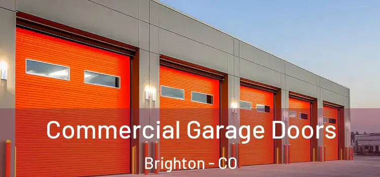  Commercial Garage Doors Brighton - CO