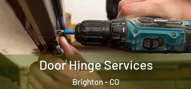 Door Hinge Services Brighton - CO