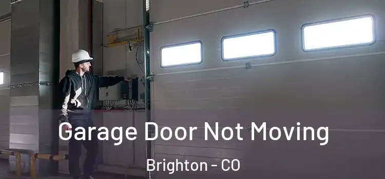  Garage Door Not Moving Brighton - CO