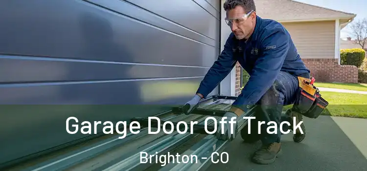  Garage Door Off Track Brighton - CO