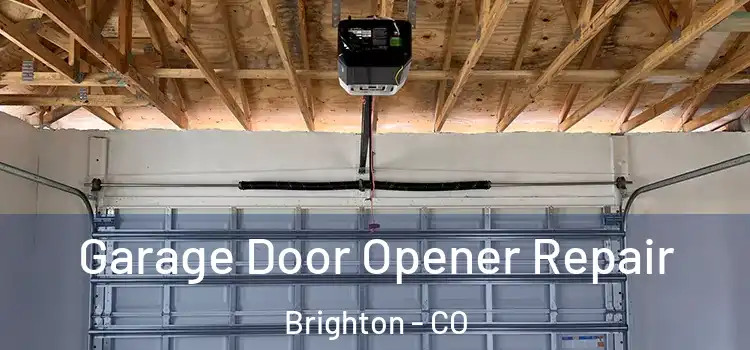  Garage Door Opener Repair Brighton - CO