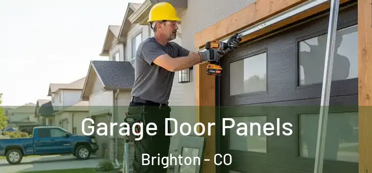  Garage Door Panels Brighton - CO