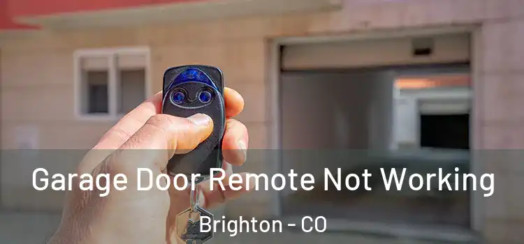  Garage Door Remote Not Working Brighton - CO