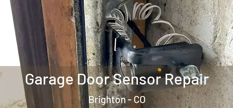  Garage Door Sensor Repair Brighton - CO