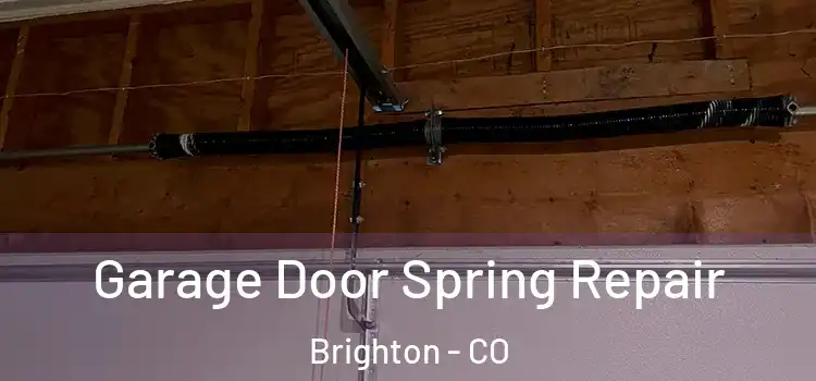  Garage Door Spring Repair Brighton - CO