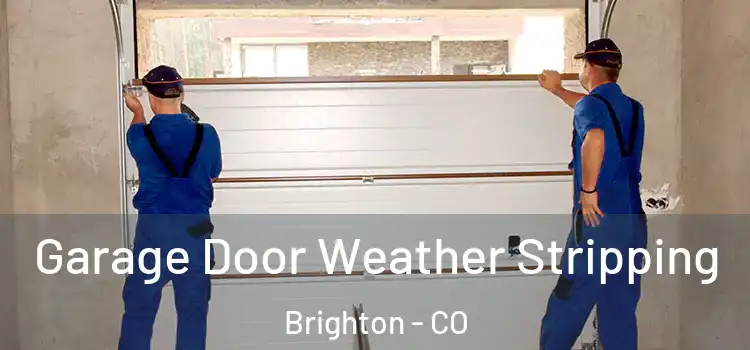  Garage Door Weather Stripping Brighton - CO
