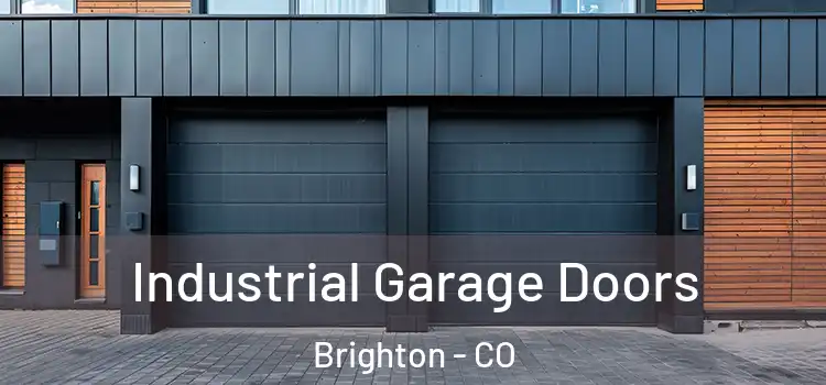  Industrial Garage Doors Brighton - CO