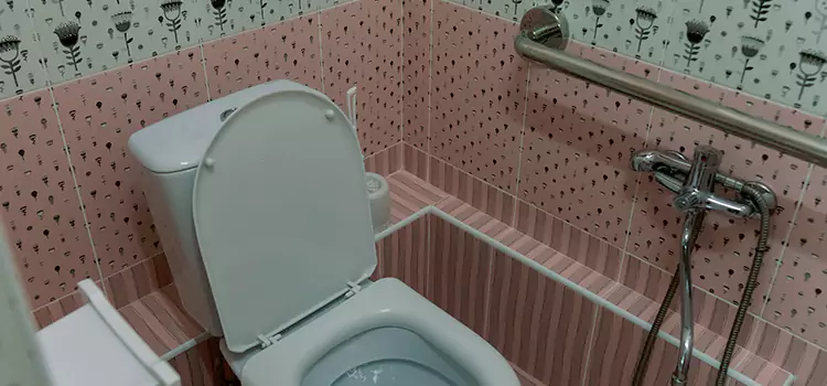 Meeting Diverse Needs With Accessible Restroom Solutions in Brighton, CO