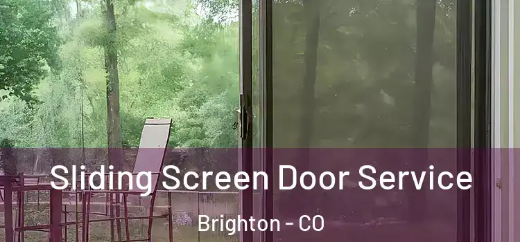 Sliding Screen Door Service Brighton - CO