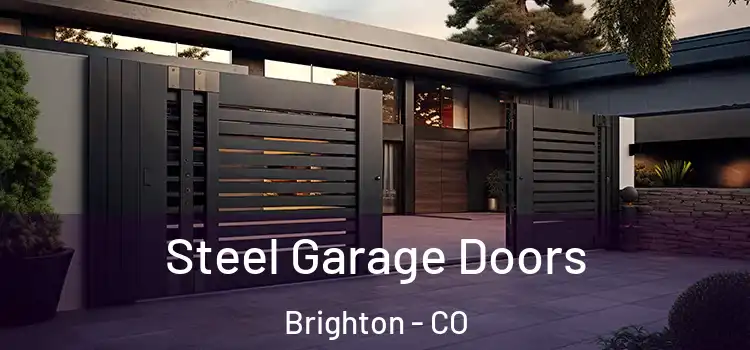  Steel Garage Doors Brighton - CO