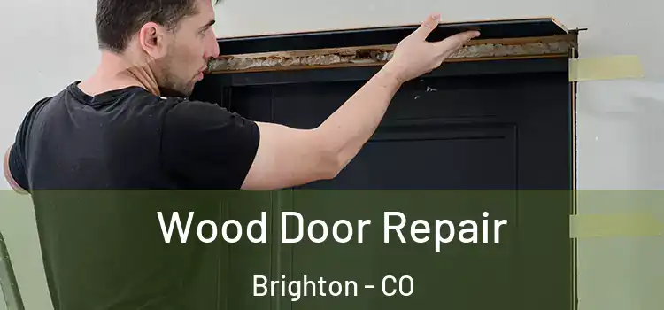  Wood Door Repair Brighton - CO